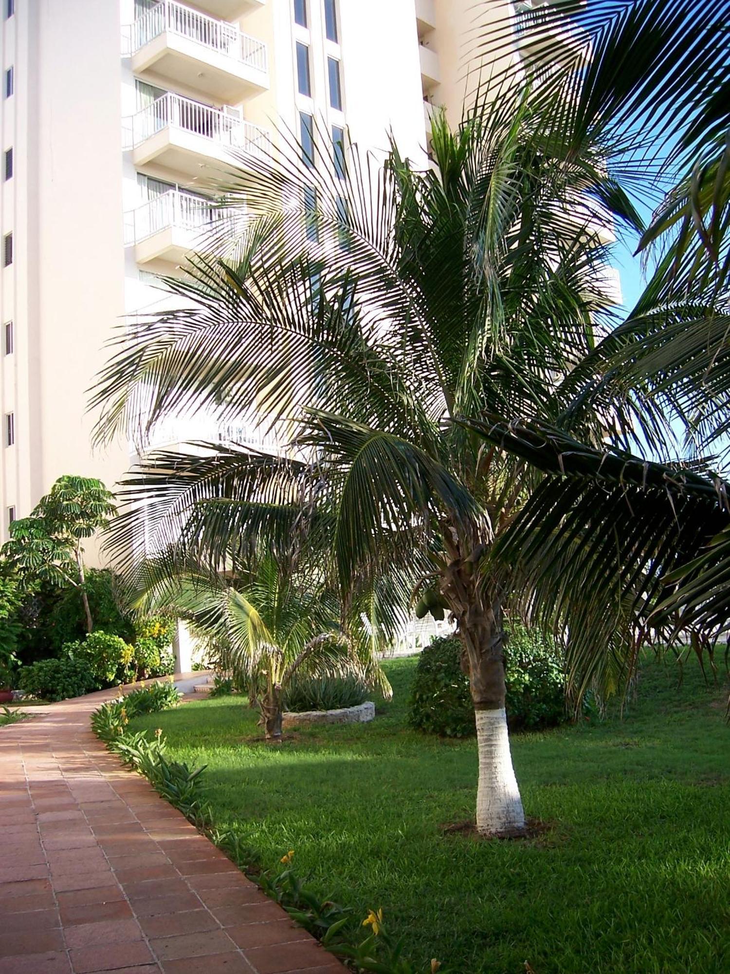 Salvia Cancun Aparts Exterior foto
